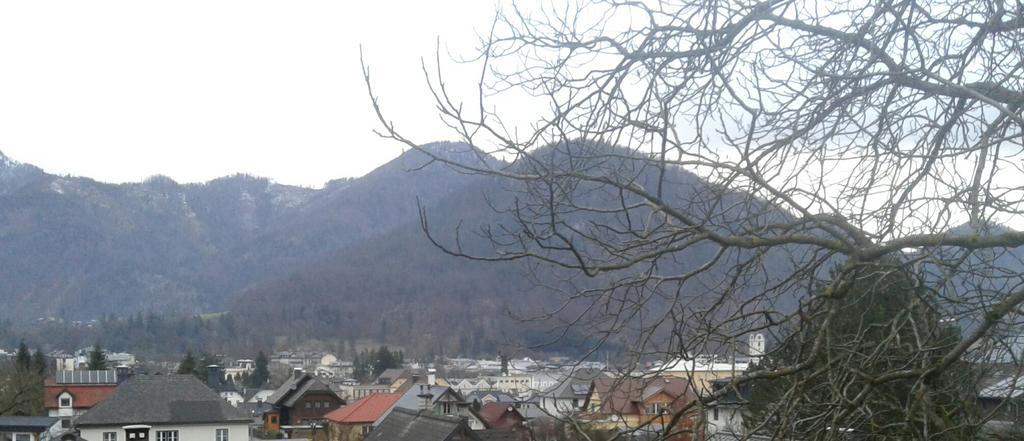 Villa Liuis Bad Ischl Exterior foto